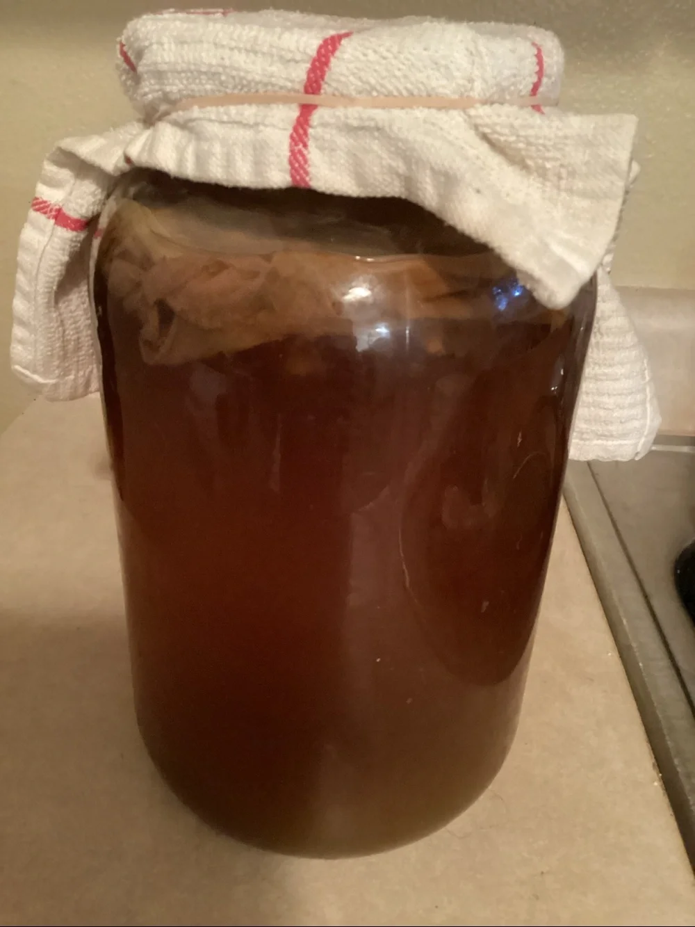 Kombucha SCOBY Live and Organic Starter Liquid For Homemade Probiotic Kombucha